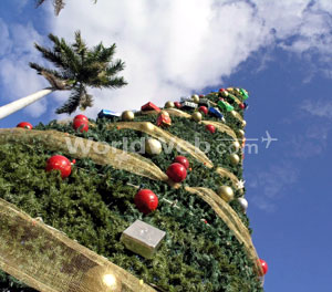 Christmas Tree in Los Angeles, CA