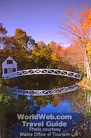 Foliage on Mount Desert Island