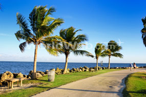 A beach in Miami, FL