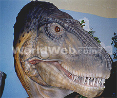 Tyrannosaurus Rex Model at Dinosaur Journey Museum