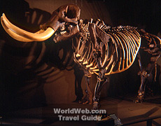 The Museum of Florida History