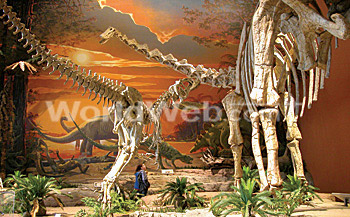 Jurassic Super Giants Exhibit at New Mexico Museum of Natural History and Science