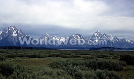 Grand Tetons