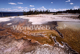 West Thumb Geyser Basin