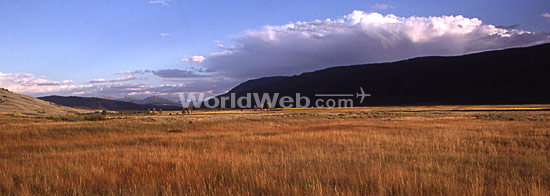 Lamar Valley