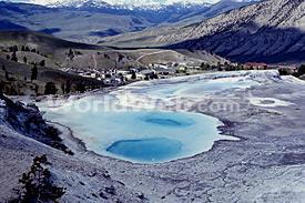 New Blue Spring at Mammoth Hot Springs