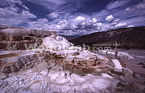 Minerva Terrace at Mammoth Hot Springs