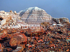 Petrified Wood at Petrified Forest National Park