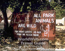 Wild Animals abound in Yosemite