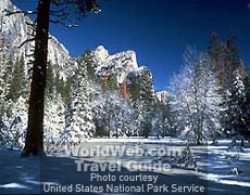 Winter in Yosemite