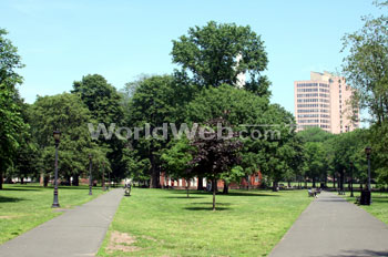 New Haven Green