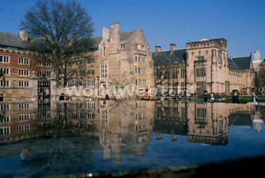 Yale University
