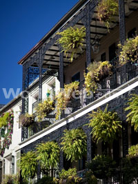 French Quarter, New Orleans, LA