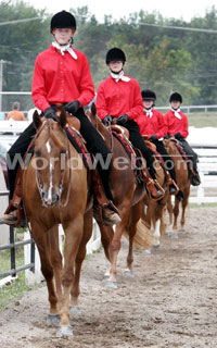 New York State Fair Horse Competition
