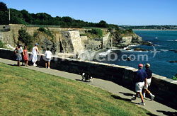 The Cliff Walk