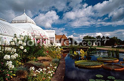 Phipps Pond at the Phipps Conservatory & Botanical Gardens