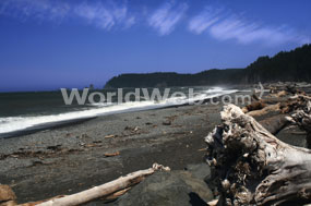 Rialto Beach, Olympic National Park, WA