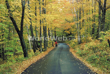 Autumn in Rutland