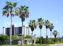 South Padre Island Condominiums