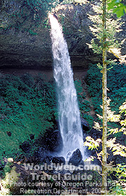 Silver Falls State Park 
