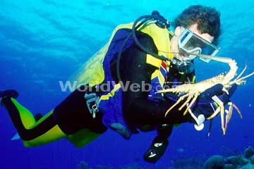 Scuba Diver in the Atlantic Ocean