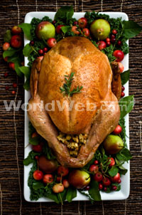 Thanksgiving Turkey Dinner