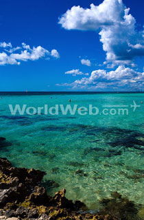 Turquoise Waters of the Caribbean