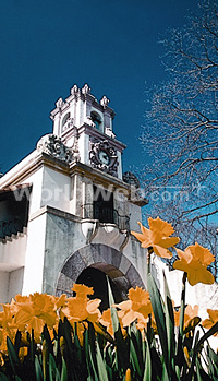 The Vanderbilt Museum/Eagle's Nest