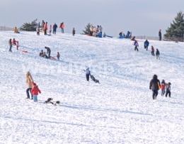Vermont Tobogganing