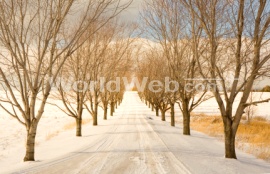 Vermont Winter