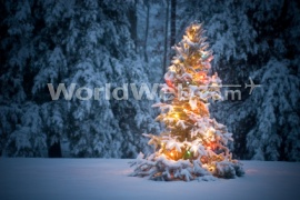 Vermont Christmas Tree