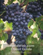 Vineyard Grapes