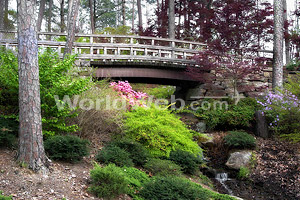 Garvan Woodland Botanical Gardens