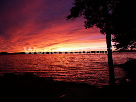 Winn Sunset