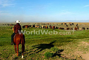 Working Cowgirl, California Pack Trip, USA Guest Ranch