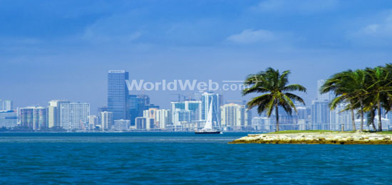 A View of Miami