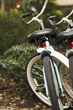 Key West Bike Rentals