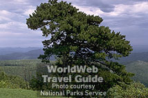 Blue Ridge Parkway, VA
