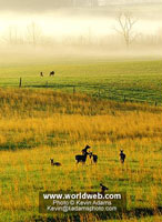 Cades Cove, TN