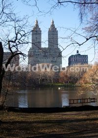 View from Central Park