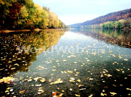 A Peaceful Day on the Delaware River