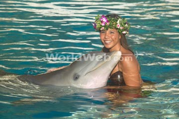 Oahu Dolphin Sea Life Park