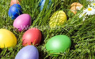 Easter eggs in the grass