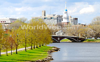 Harvard University in Cambridge