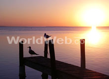 South Padre Island Dock