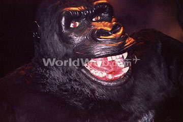 King Kong