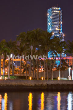 Miami's skyline