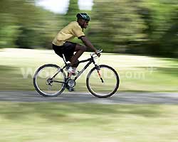 Cycling Along the Trails
